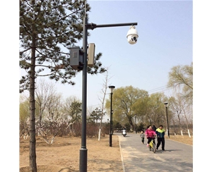 阿里小区监控杆-LB-02