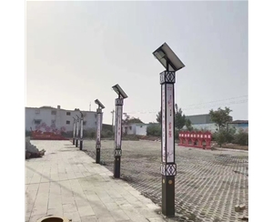 阿里景观灯安装
